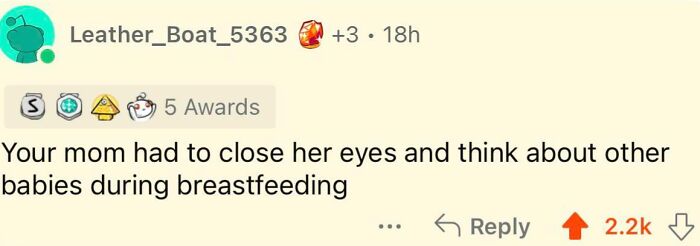 A Reddit comment containing an epic burn: "Your mom had to close her eyes and think about other babies during breastfeeding."