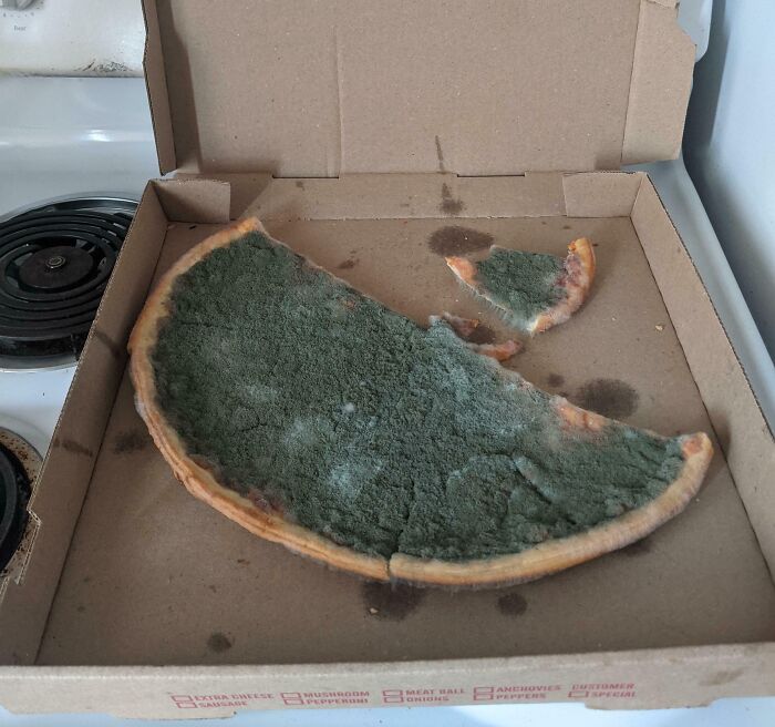 A pizza box containing a heavily molded pizza with fuzzy green mold covering its surface. This bananasausage food crime needs a priest!