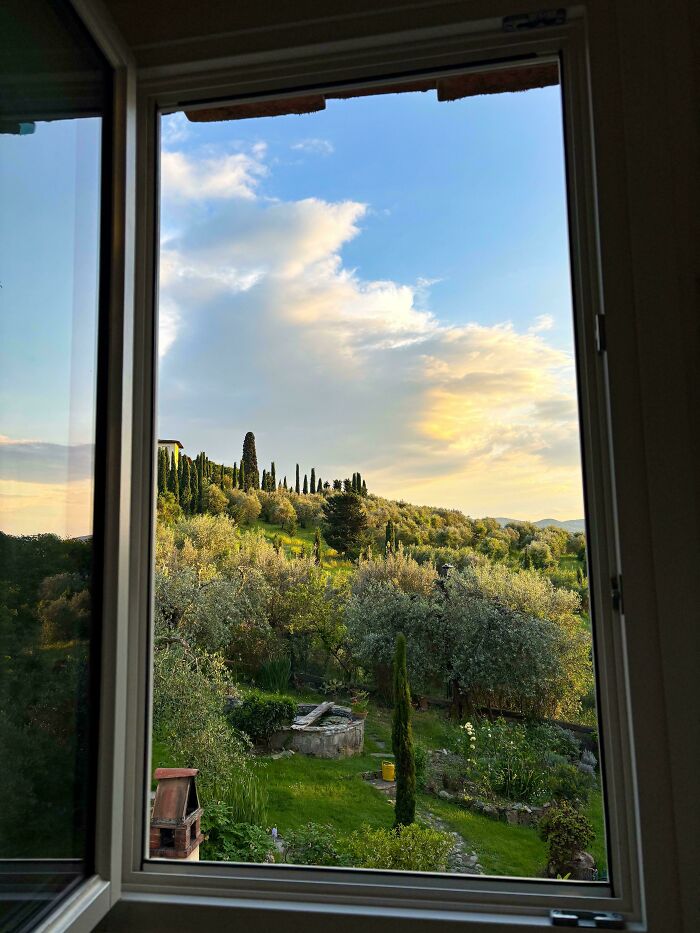 A breathtaking view through an open window of a lush green hillside dotted with olive trees and cypress. A satisfying picture for a gentle reset.
