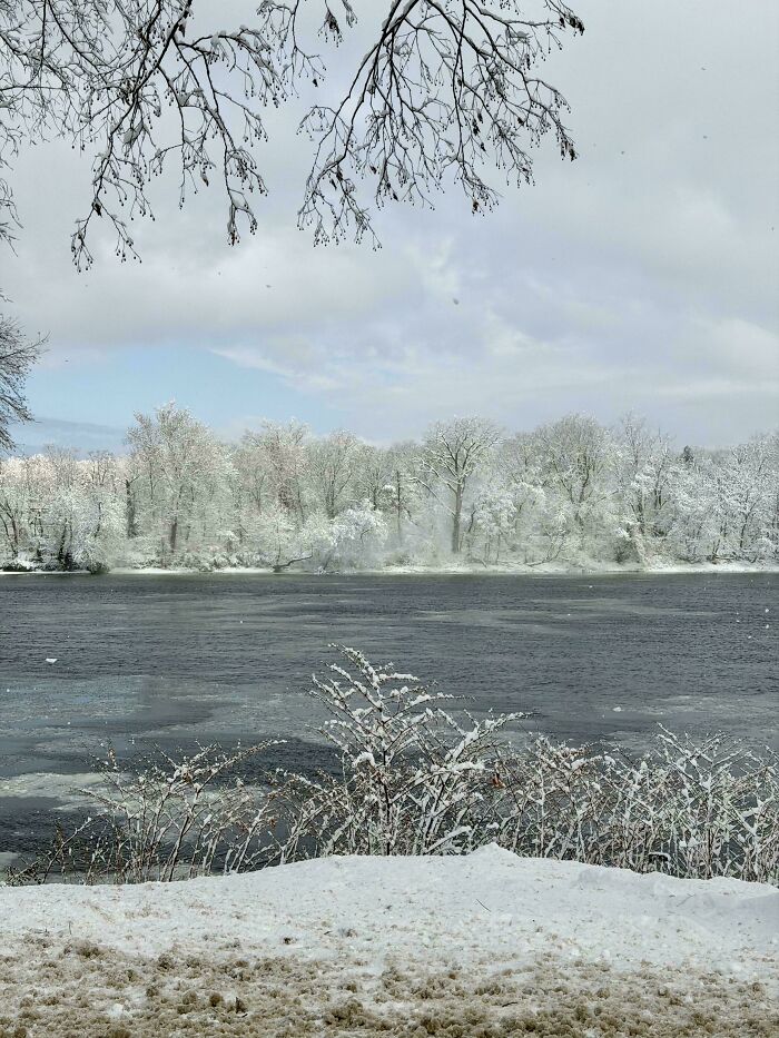 A gentle reset picture of a snowy winter landscape with a partially frozen river and snow-covered trees and branches.