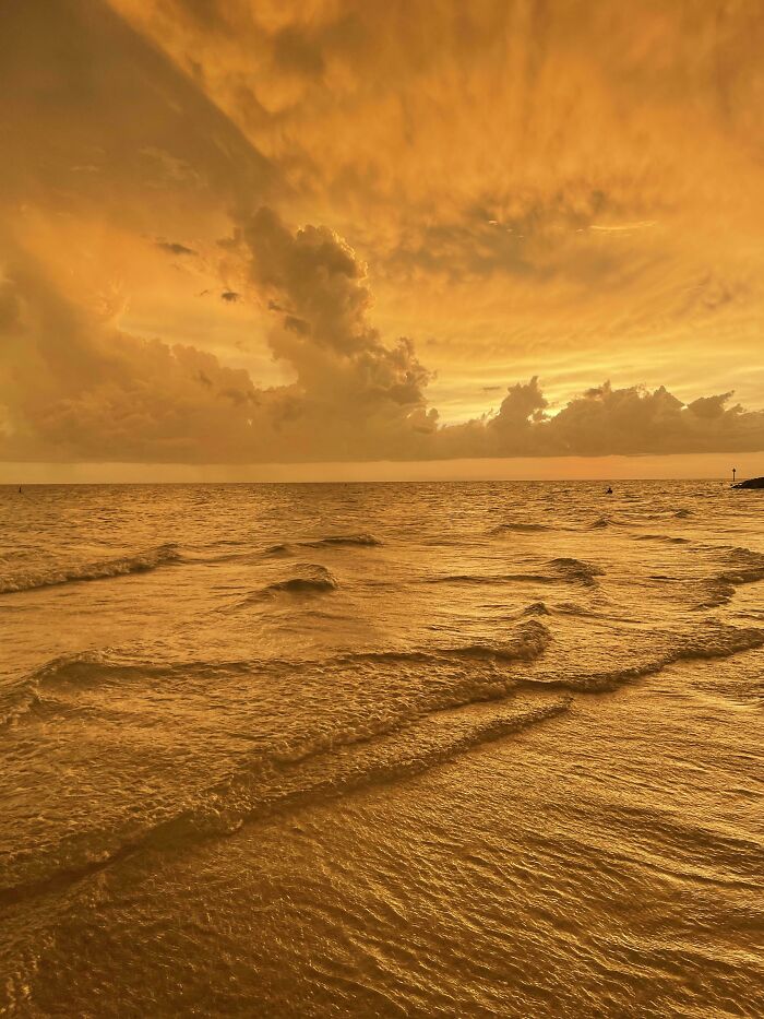 A stunning orange-gold sunset over the ocean, with soft waves reflecting the sky. Satisfying picture, gentle reset.