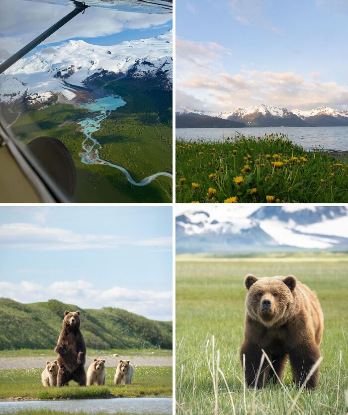 Breathtaking travel photos showcasing the world's beauty: aerial views of mountains and rivers, bears, and stunning landscapes.
