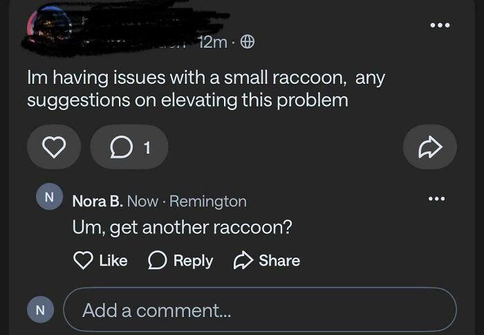 A screenshot of a hilarious neighborhood online community post about dealing with a small raccoon problem, with a funny suggestion.