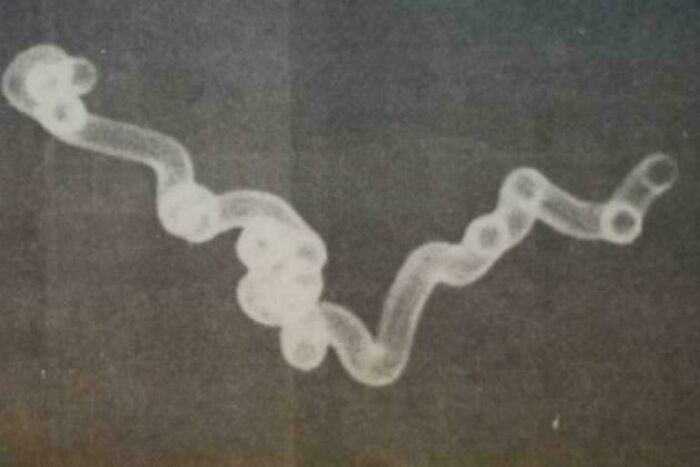 Unusual white smoke formation twisting in the sky, representing mysterious events and urban myths unknown to science.
