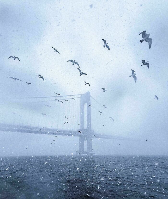 A bridge shrouded in mist or snow, with many seagulls flying overhead and snow falling on the water. A satisfying picture for a gentle reset.