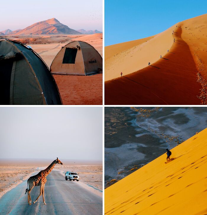 Breathtaking travel photos showcasing camping, people hiking a sand dune, a giraffe on a road, and sandboarding.