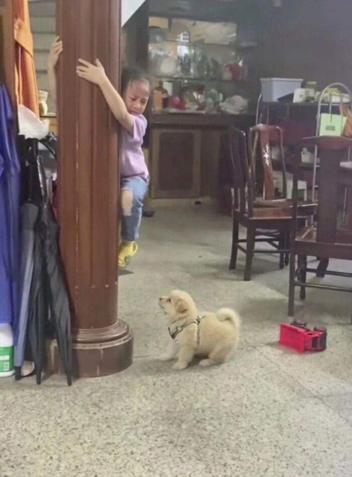 33 Wholesome And Funny Animal Pics That Will Instantly Make Your Day Better (New Pics)