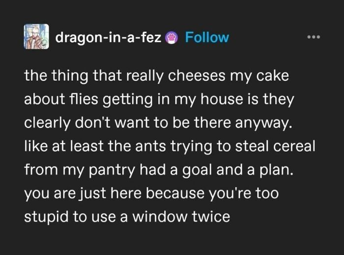 Tumblr post humor about flies and ants, highlighting funny observations from popular funny Tumblr posts.