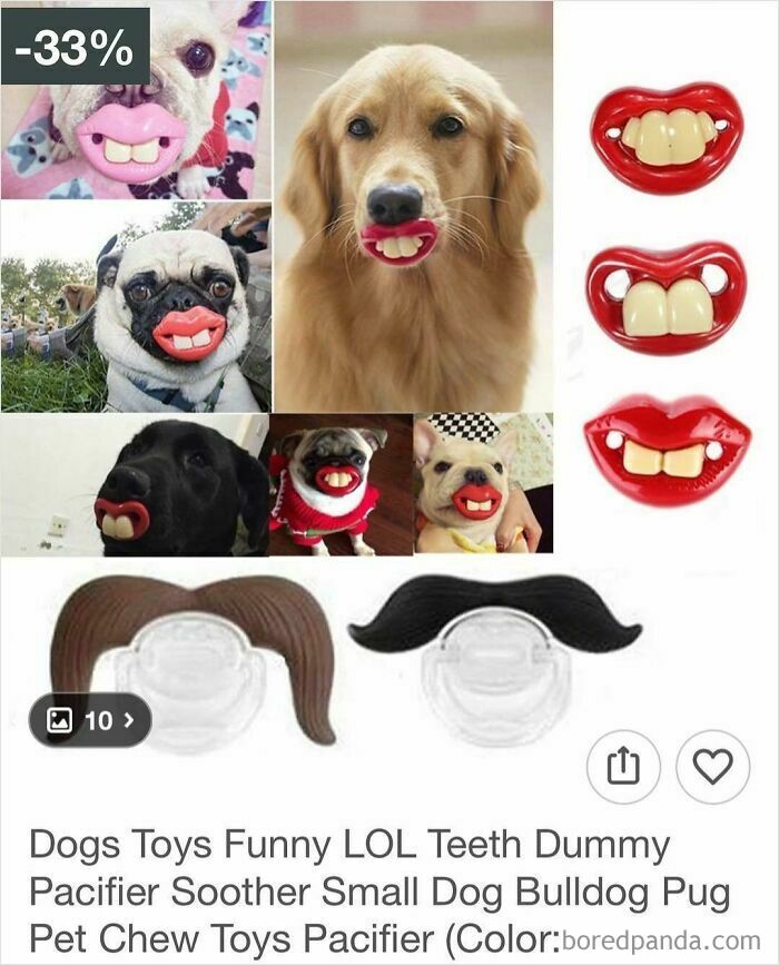 Funny dog toys with teeth pacifier making pets look hilarious while shopping on Wish surprise buyers with odd finds