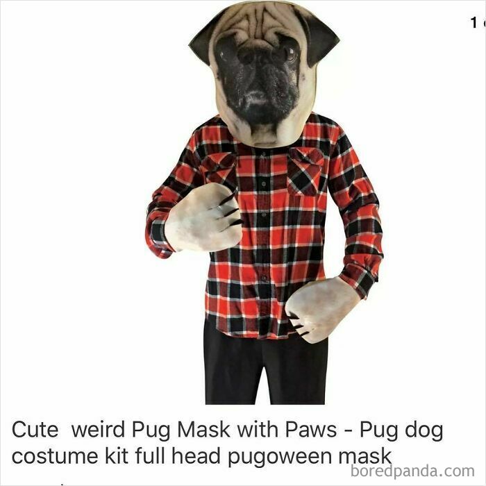 Person wearing a pug dog mask and paws costume, one of the surprising finds people couldn’t believe while shopping on Wish.