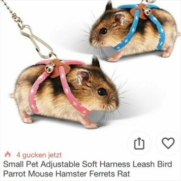 Two small hamsters wearing adjustable soft harnesses with leashes, showcasing unusual pet accessories on Wish.