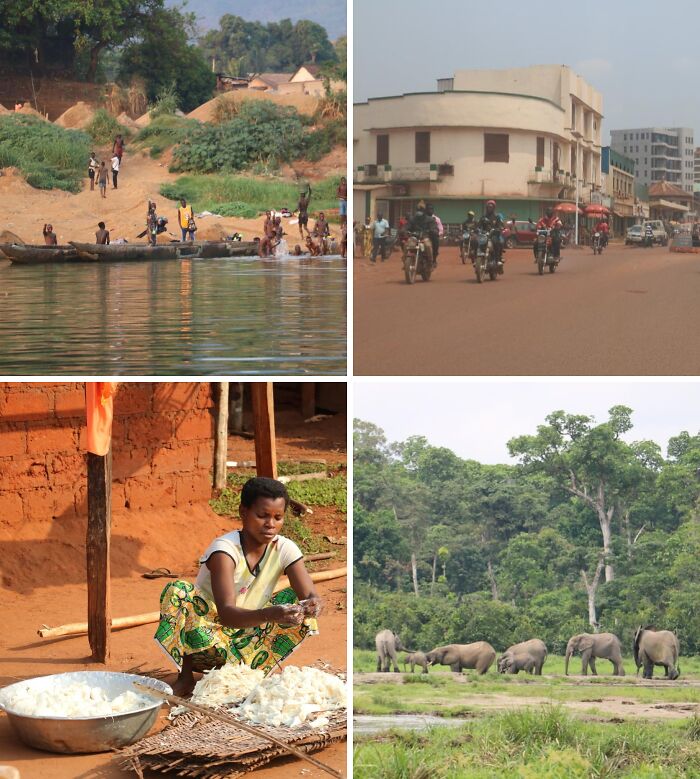 Breathtaking travel photos showcasing daily life, bustling streets, a river, and elephants in a forest.