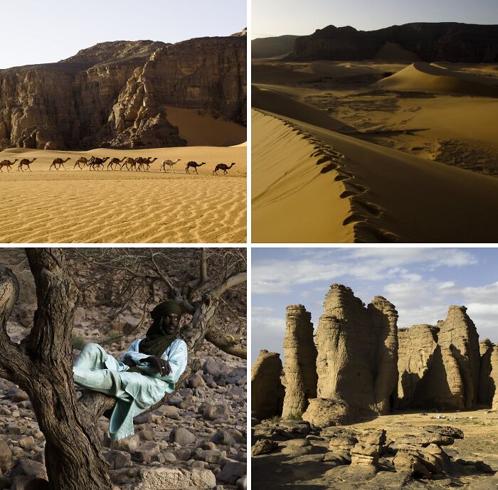 Four breathtaking travel photos showing desert scenes: a camel caravan, sand dunes with footprints, a man in a tree, and rock formations.
