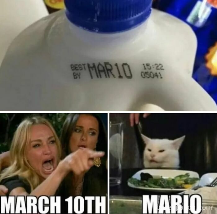 Meme with milk expiration date MAR10 and cat reacting to March 10th versus Mario wordplay joke.