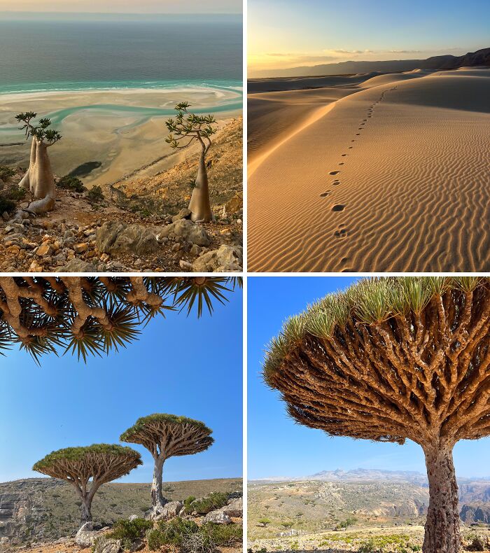 Breathtaking travel photos showcasing unique landscapes: desert dunes, stunning beaches, and dragon blood trees. The world is beautiful.