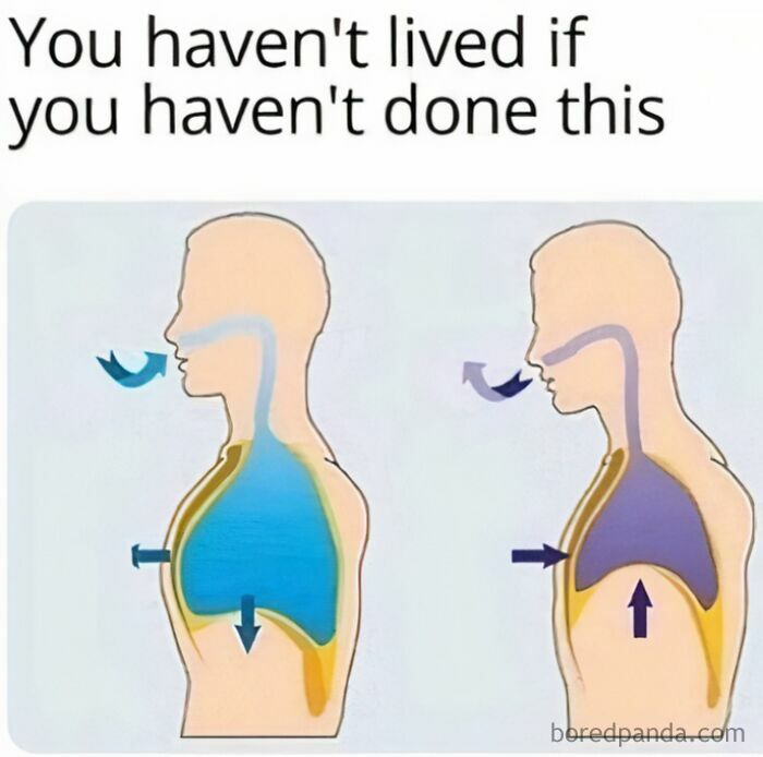 Diagram showing lung expansion and contraction during breathing illustrated with arrows and human profile, highlighting internet memes humor.