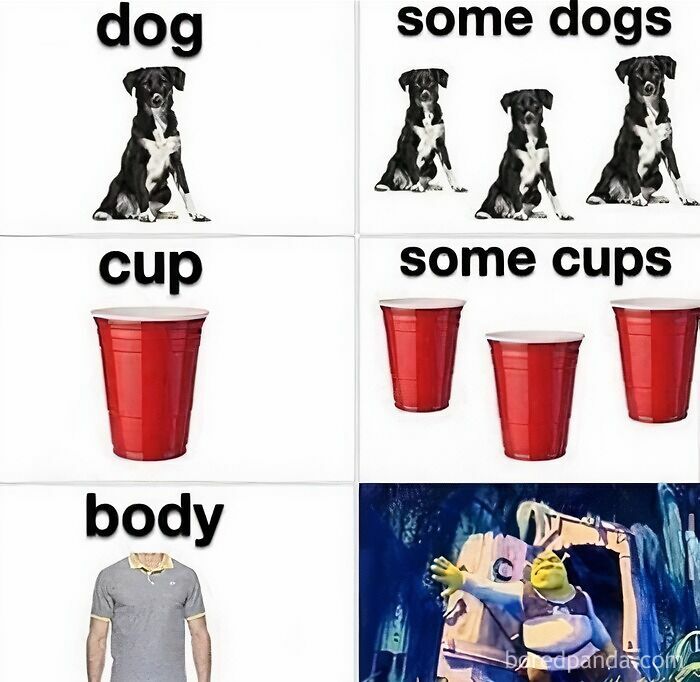 Memes showing dogs, cups, and Shrek with humorous captions illustrating internet meme culture.