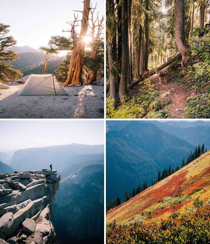 Four breathtaking travel photos: a tent at sunrise, a deer in a forest, a person on a cliff, and an autumn mountainside.