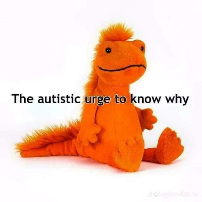 A fluffy orange dinosaur plush sits with the text: The autistic urge to know why. A relatable meme for neurodivergent brains.
