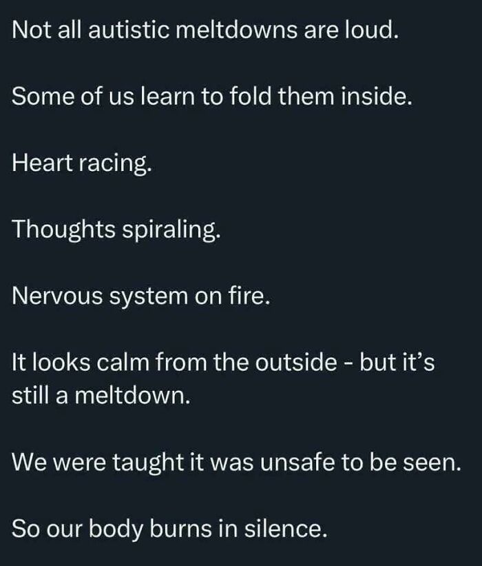A relatable meme for those whose brain doesn't always follow the script, detailing silent autistic meltdowns.