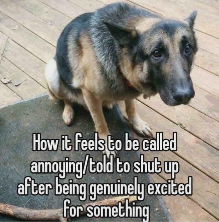 A sad German Shepherd with text about being called annoying after genuine excitement, part of relatable memes. Brain never follows script.