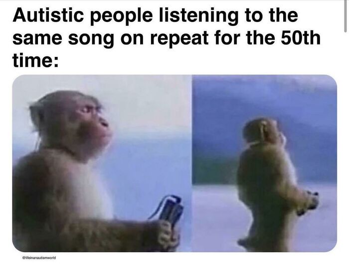 Relatable memes: A split image of a monkey looking contemplative, then smaller in the distance, illustrating repetitive song listening.