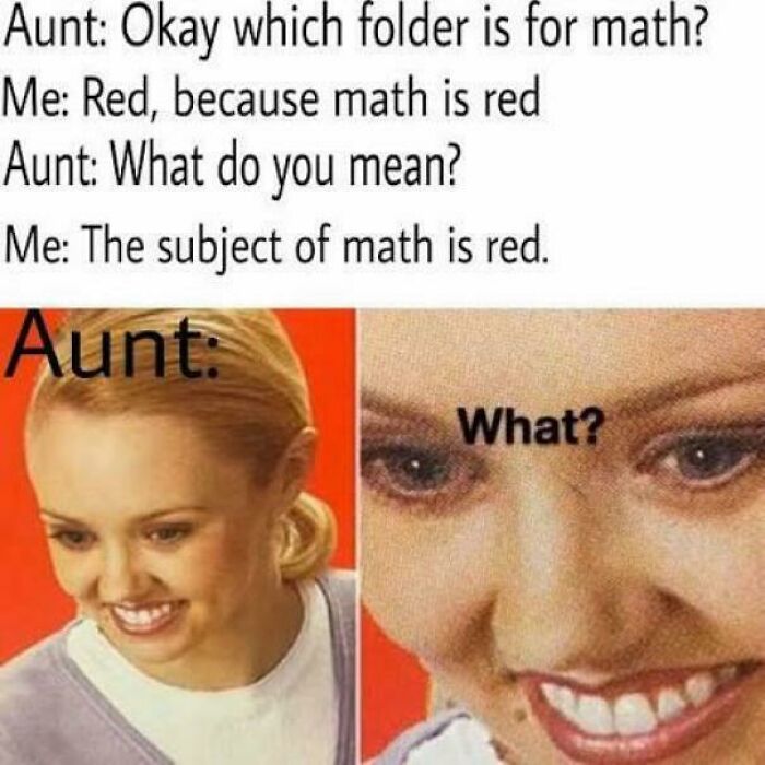 A relatable meme showing a conversation where a person's brain doesn't follow the script, and an aunt's confused reaction.