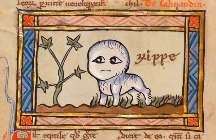 A medieval illustration depicting a strange, white, baby-like creature with large eyes standing next to a plant. Relatable memes.