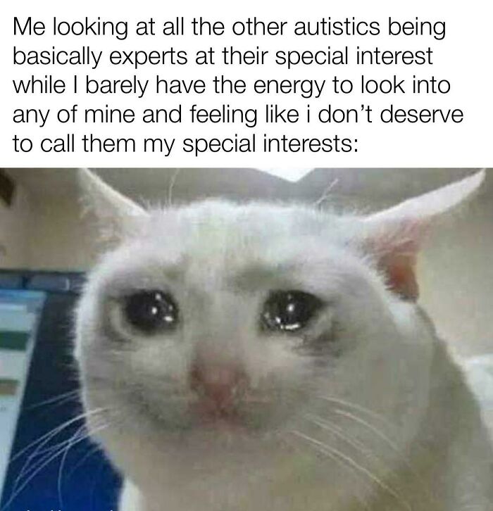 A relatable meme of a crying white cat expressing feelings about special interests and lacking energy, resonating with a brain that almost never follows the script.