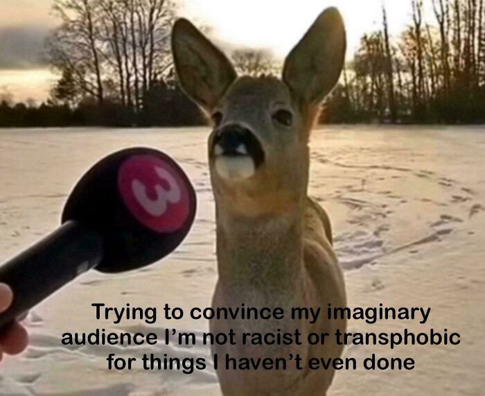 A relatable meme of a deer being interviewed in the snow, with text about imaginary audiences. Humorous internet culture.