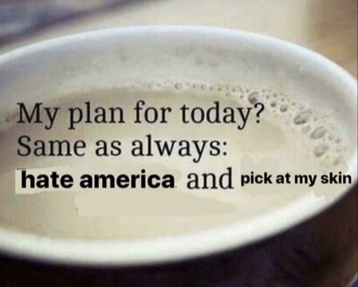 A meme showing text in a foamy drink that reads: My plan for today? Same as always: hate America and pick at my skin. Relatable memes for those whose brains never follow the script.