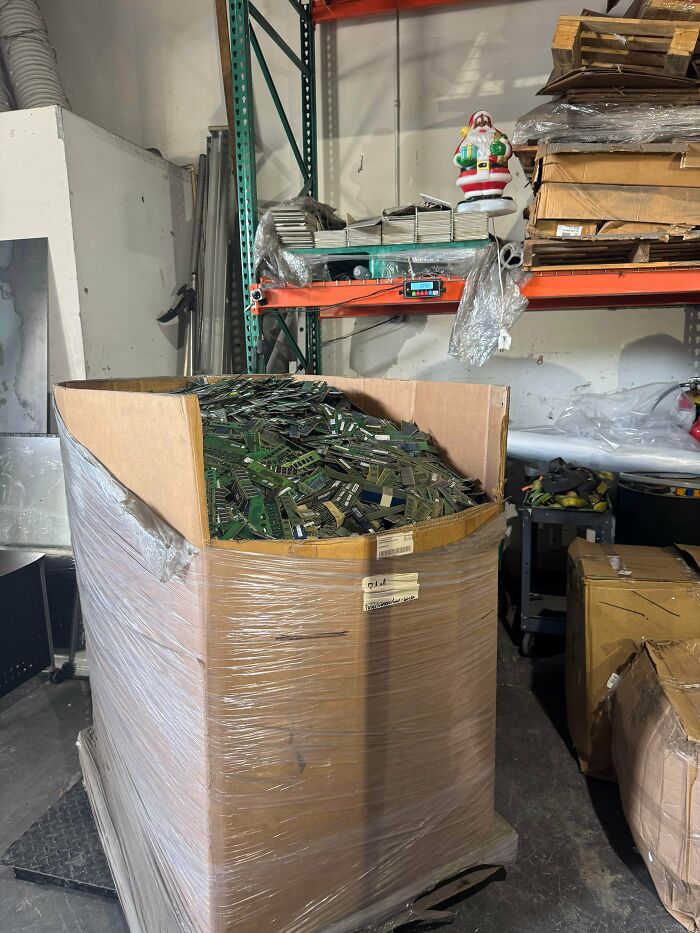 Gaylord Of Gold Ram No Tin , Or Shielded