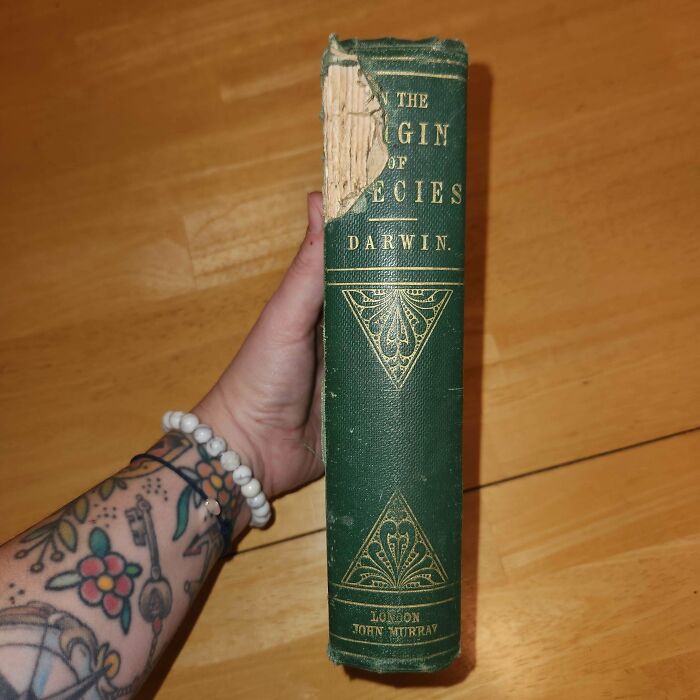A hand with tattoos and bracelets holds a worn copy of Darwins On the Origin of Species, showcasing the unusual possession.