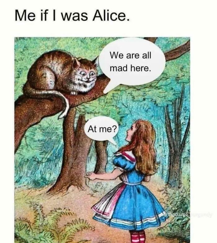 A relatable meme from Alice in Wonderland, depicting the Cheshire Cat saying We are all mad here, and Alice asking At me?