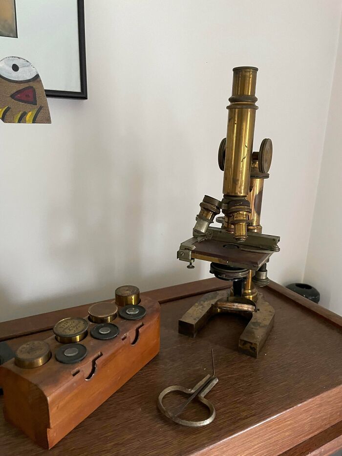 A vintage brass microscope, wooden weight set, and Jew's harp on a wooden table, showcasing unusual possessions.