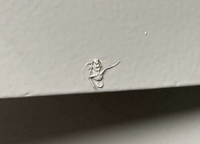 A cockroach painted over on a white wall, a funny you had one job fail.