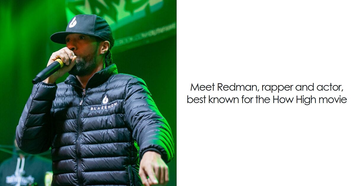 Redman: Bio And Career Highlights | Bored Panda
