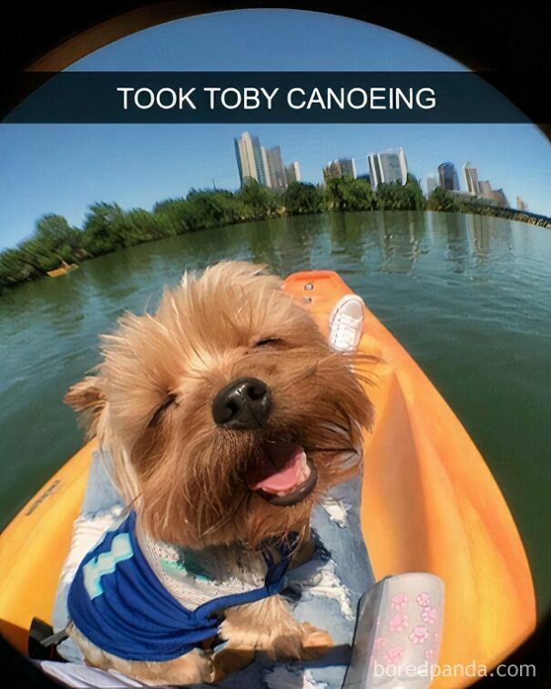 A happy dog, Toby, with eyes closed and tongue out, enjoying a canoe trip on a sunny day. Wholesome posts.