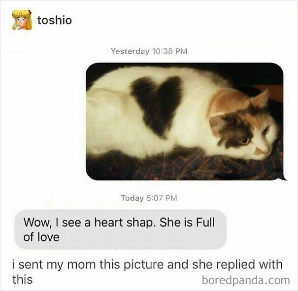 A heartwarming meme showing a calico cat with a black heart shape on its fur, a truly wholesome post.