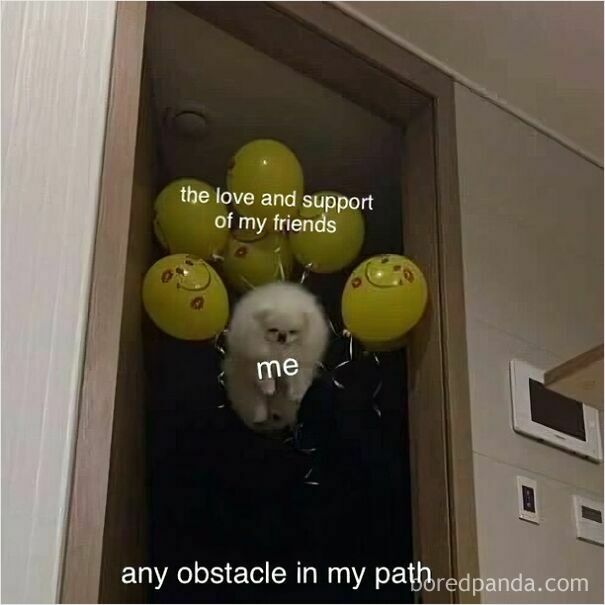 Wholesome posts meme: fluffy white dog labeled me floating with balloons labeled love and support of friends, above obstacle.