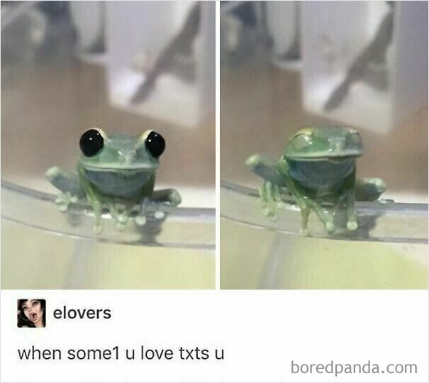 A wholesome post featuring a frog with wide eyes, then a squinting smile. A meme about receiving a text.