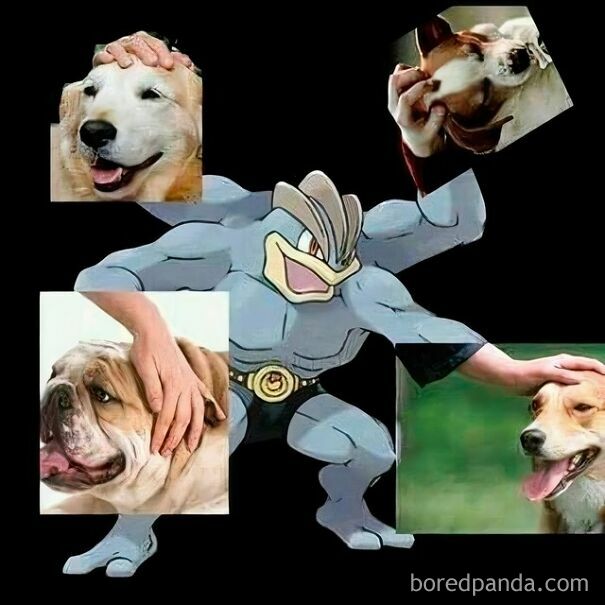 Machamp from Pokémon petting four dogs. A wholesome post showing an internet meme with cute dogs.