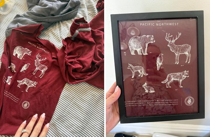 A creative person repurposed a graphic t-shirt featuring Pacific Northwest animals into a framed artistic piece.