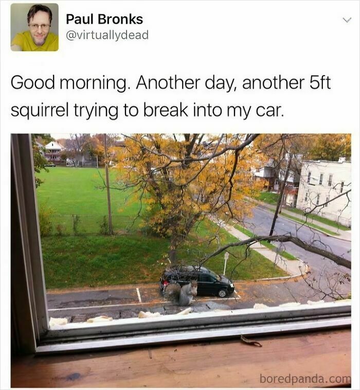 Funny-Memes-Posts-Overheard-In-Waitrose