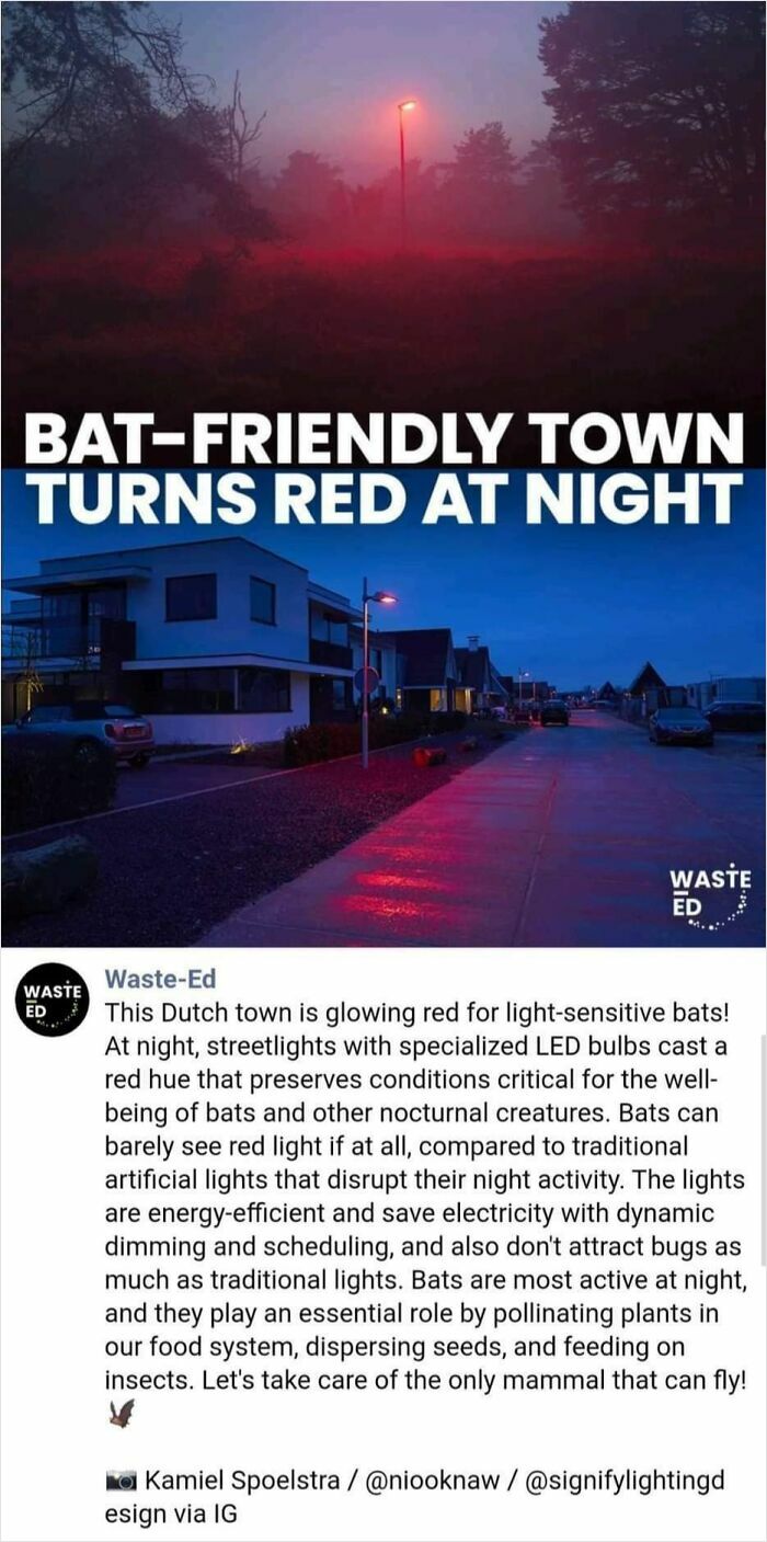 Nighttime street with red light in a bat-friendly town promoting positivity through nature-friendly lighting.