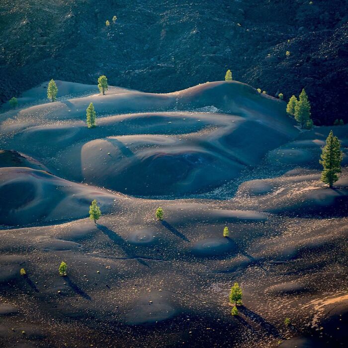 Unbelievable photos of dark, undulating volcanic terrain with scattered green trees, feeling like glimpses into another universe.