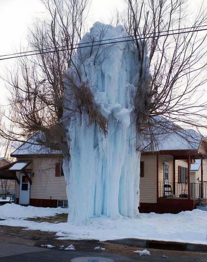 Large frozen ice formation enveloping a tree in front of a house on a cold winter day, highlighting a devil sunrise effect.
