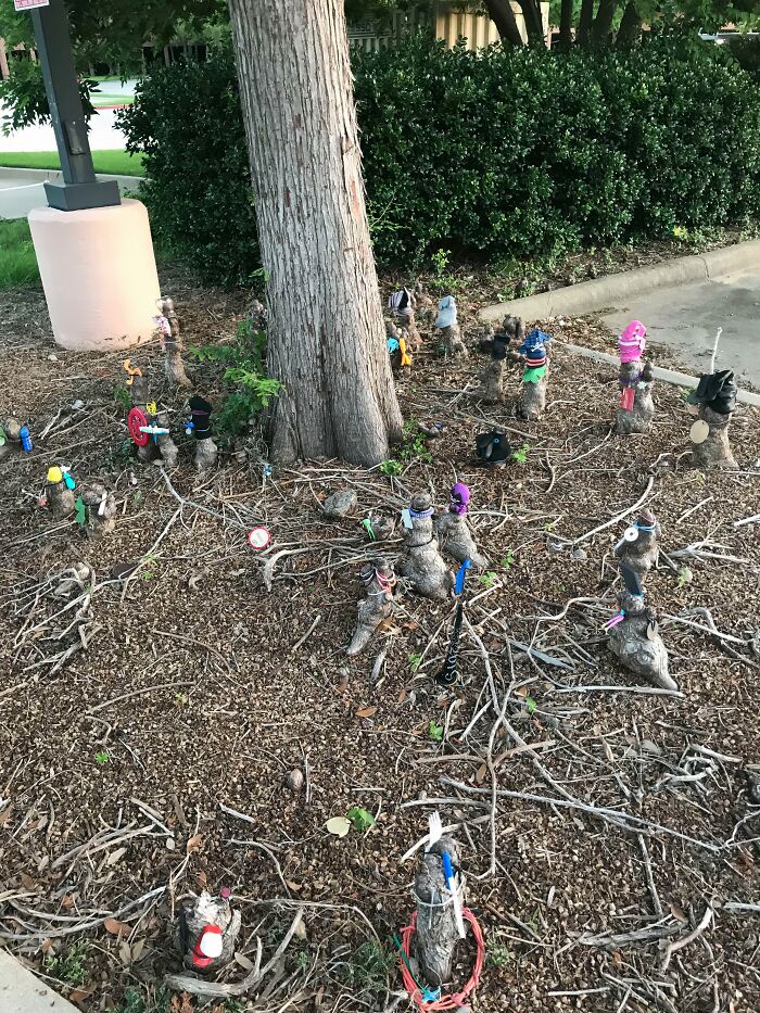 Tree stumps decorated with various small, colorful items, showcasing how creative people turned trash into something artistic.