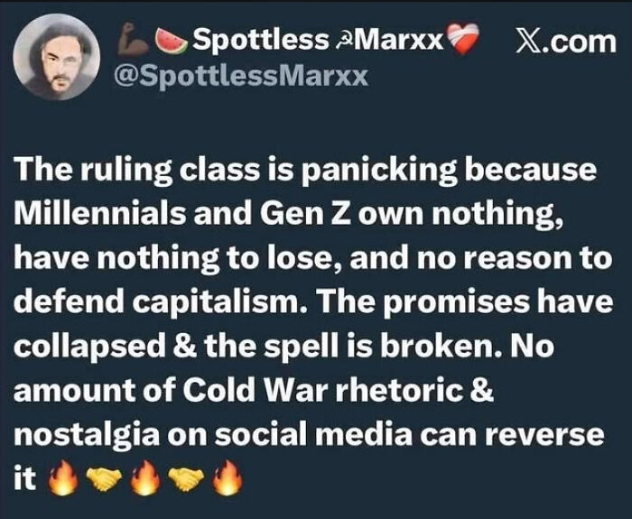 A tweet from @SpottlessMarxx saying the ruling class is panicking because Millennials and Gen Z own nothing. Afford billionaires.
