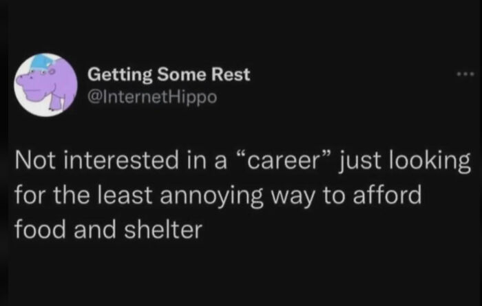 A tweet from @InternetHippo says, Not interested in a career, just looking for the least annoying way to afford food and shelter. Many are ready to retire.